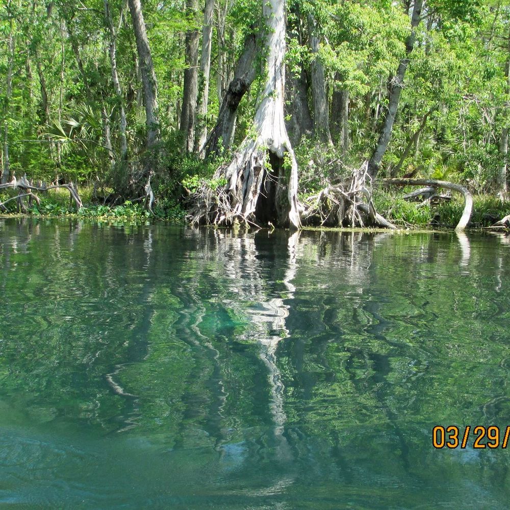 Meet your Posher, Pattie